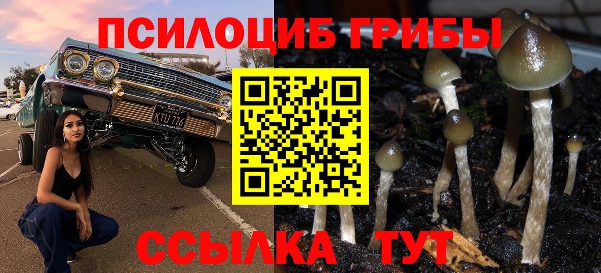 А ПВП Сальск