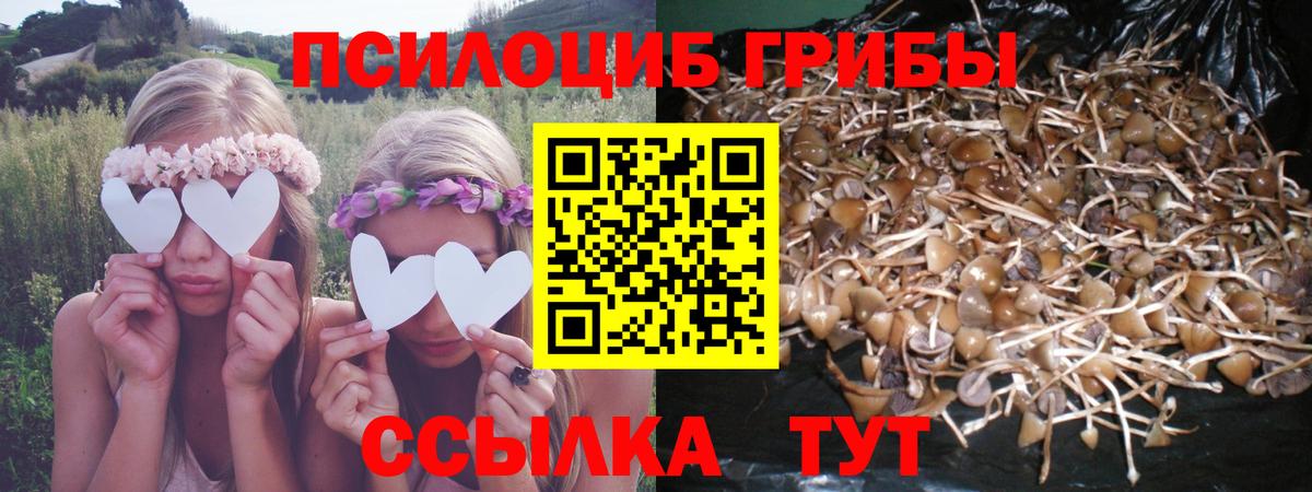 Галлюциногенные грибы мухоморы  Галлюциногенные грибы Magic Shrooms  Сальск  Вход с VPN 